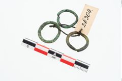 Foto von Bronzering (NHMW-PRAE-026304)